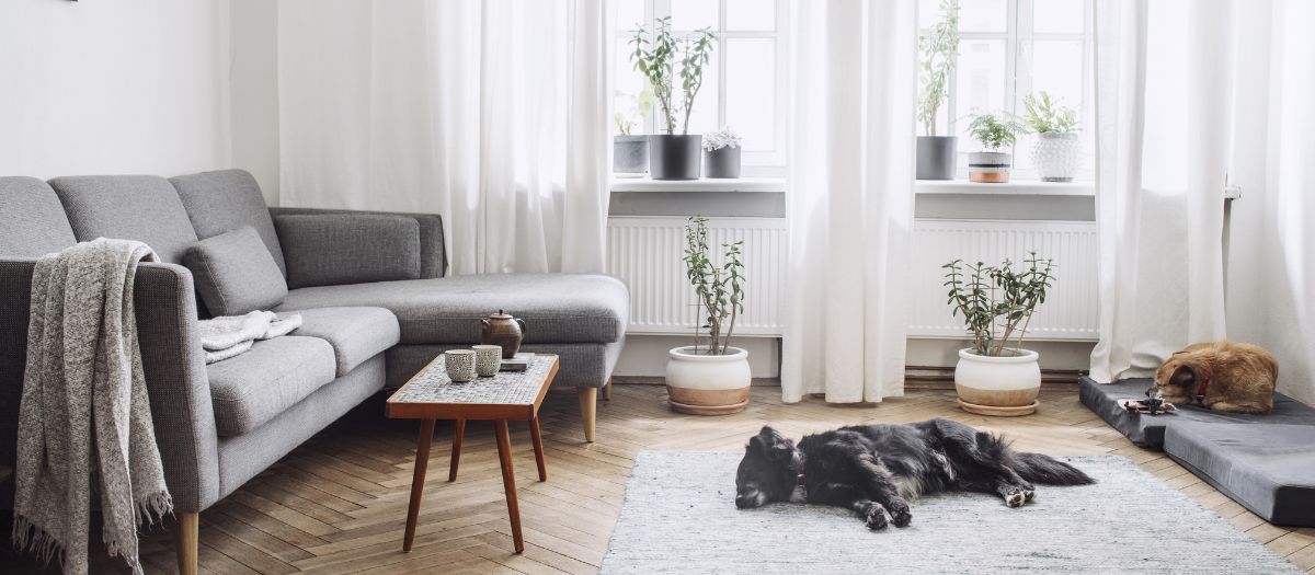 почему возникает ударный шум